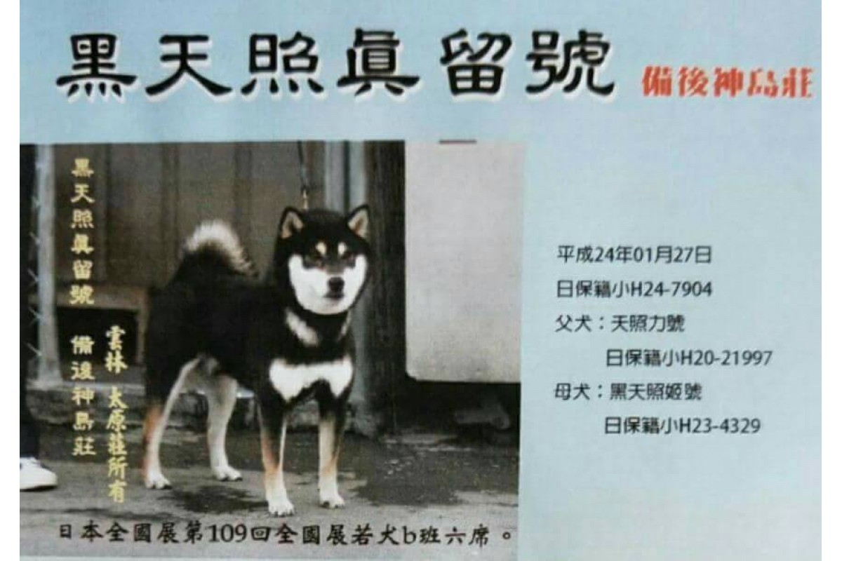 太原莊犬舍