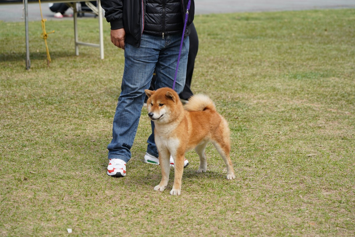 澤乃源徹号