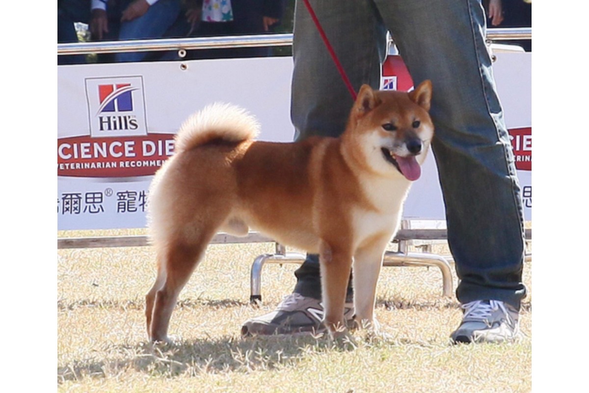 高德の福王