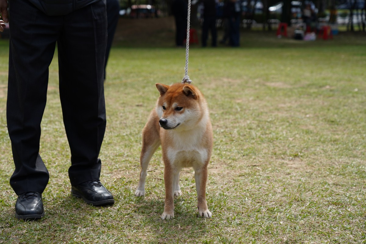 濱王號