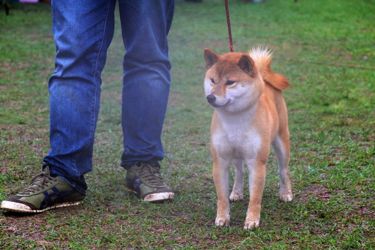 承天の小玲號