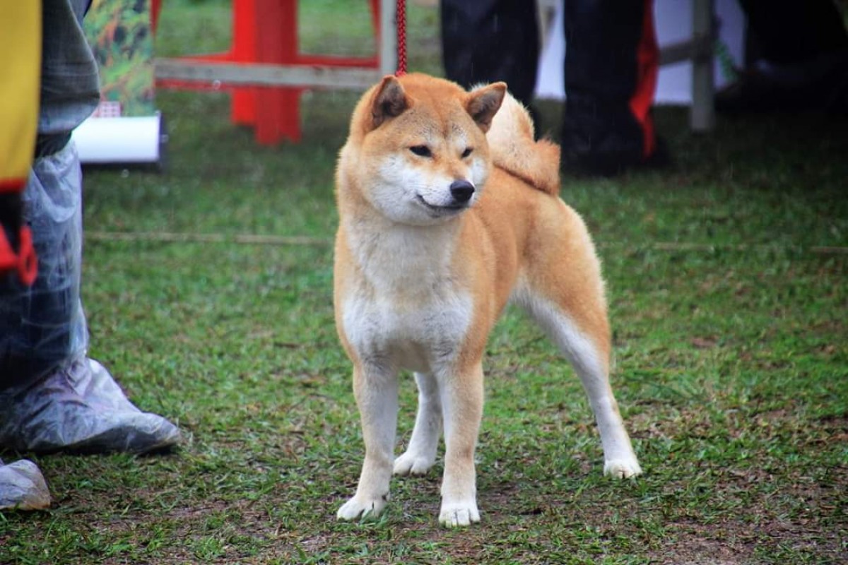 悠瀧春桃