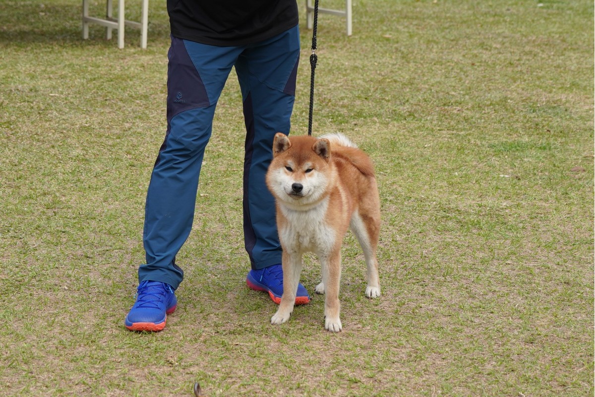 信之譽神竜号