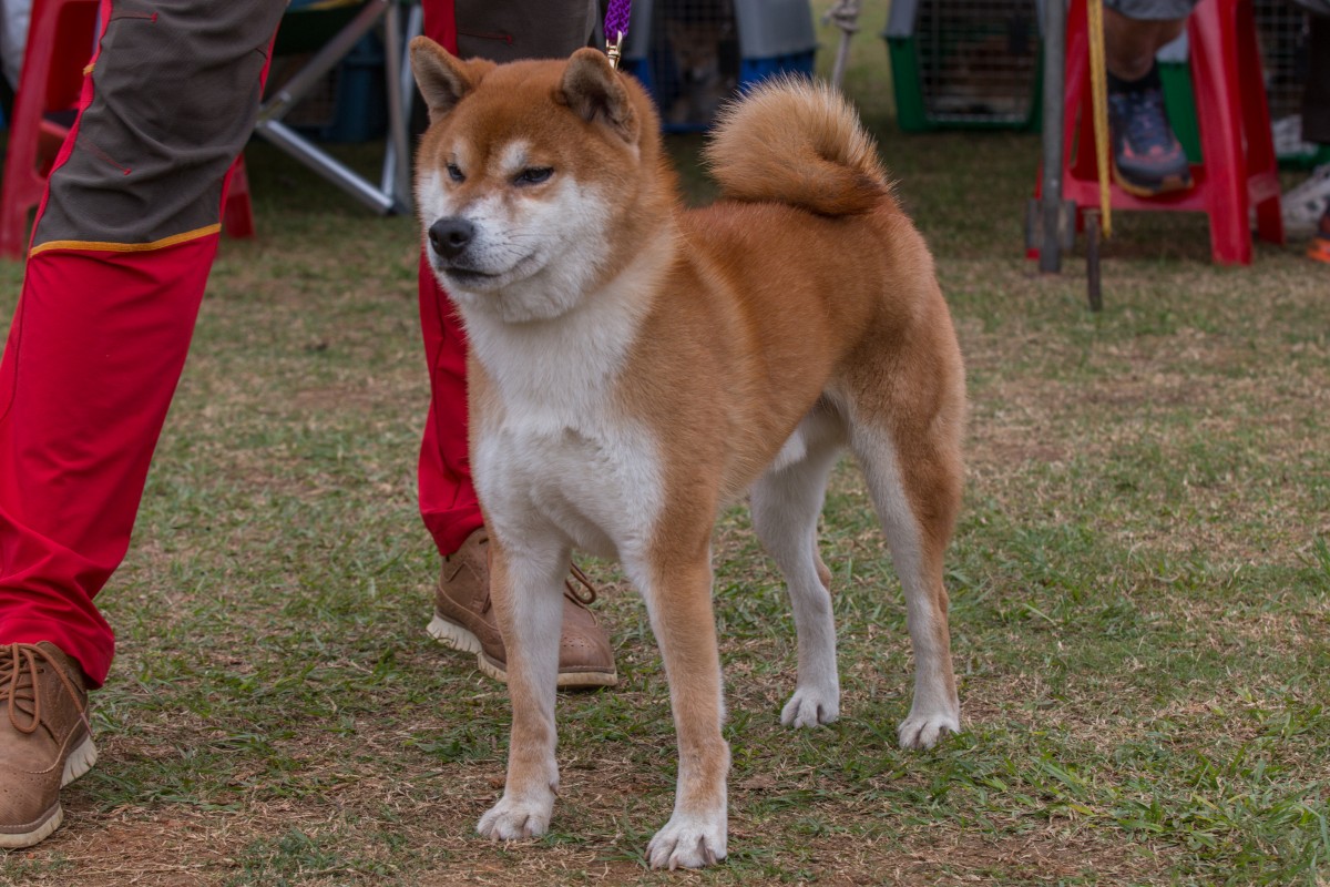 福王丸號