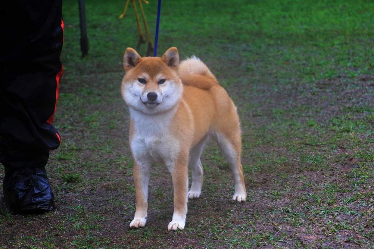 信之福咲女号