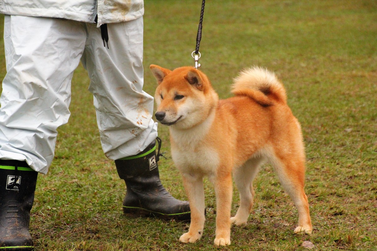 神の鈴稔