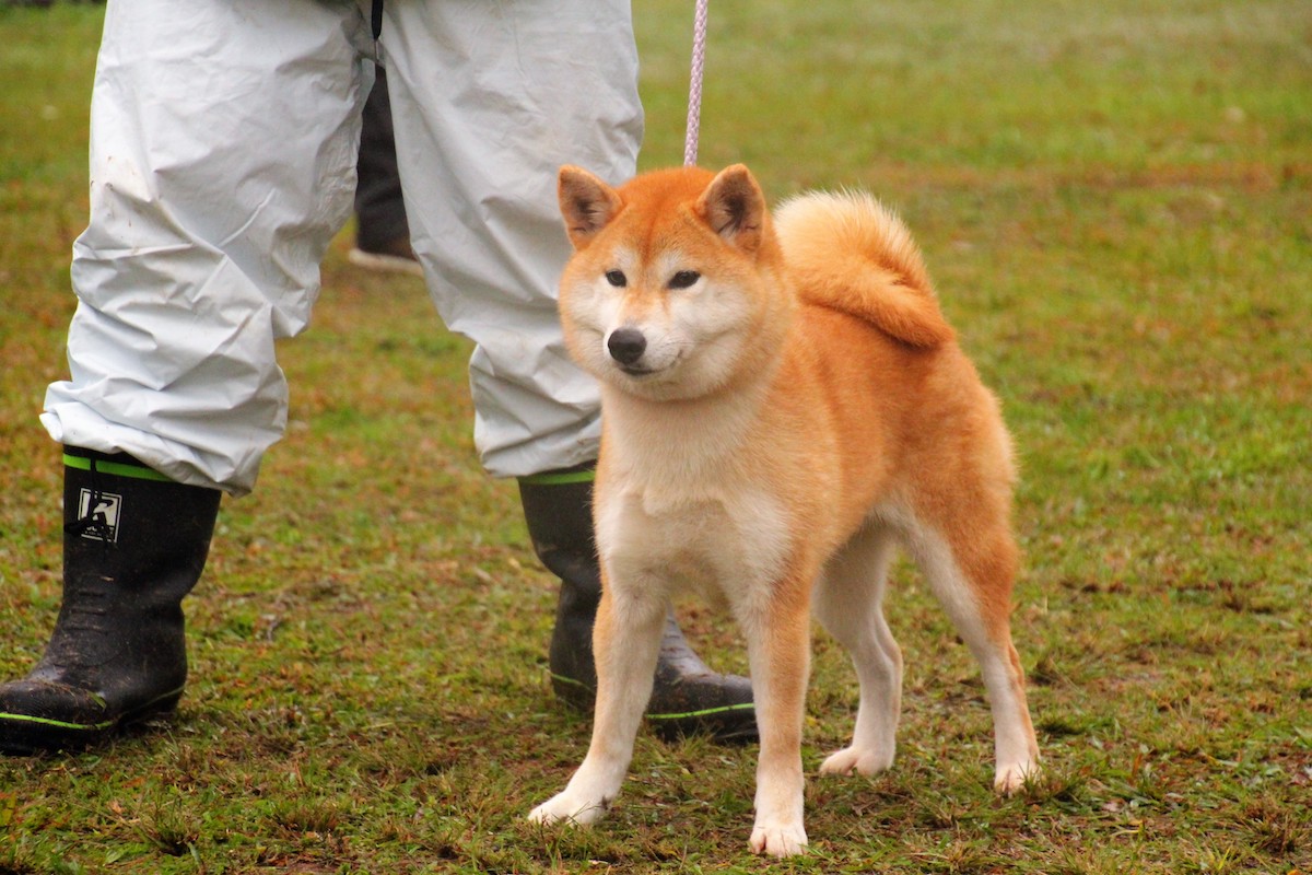 神の亞美